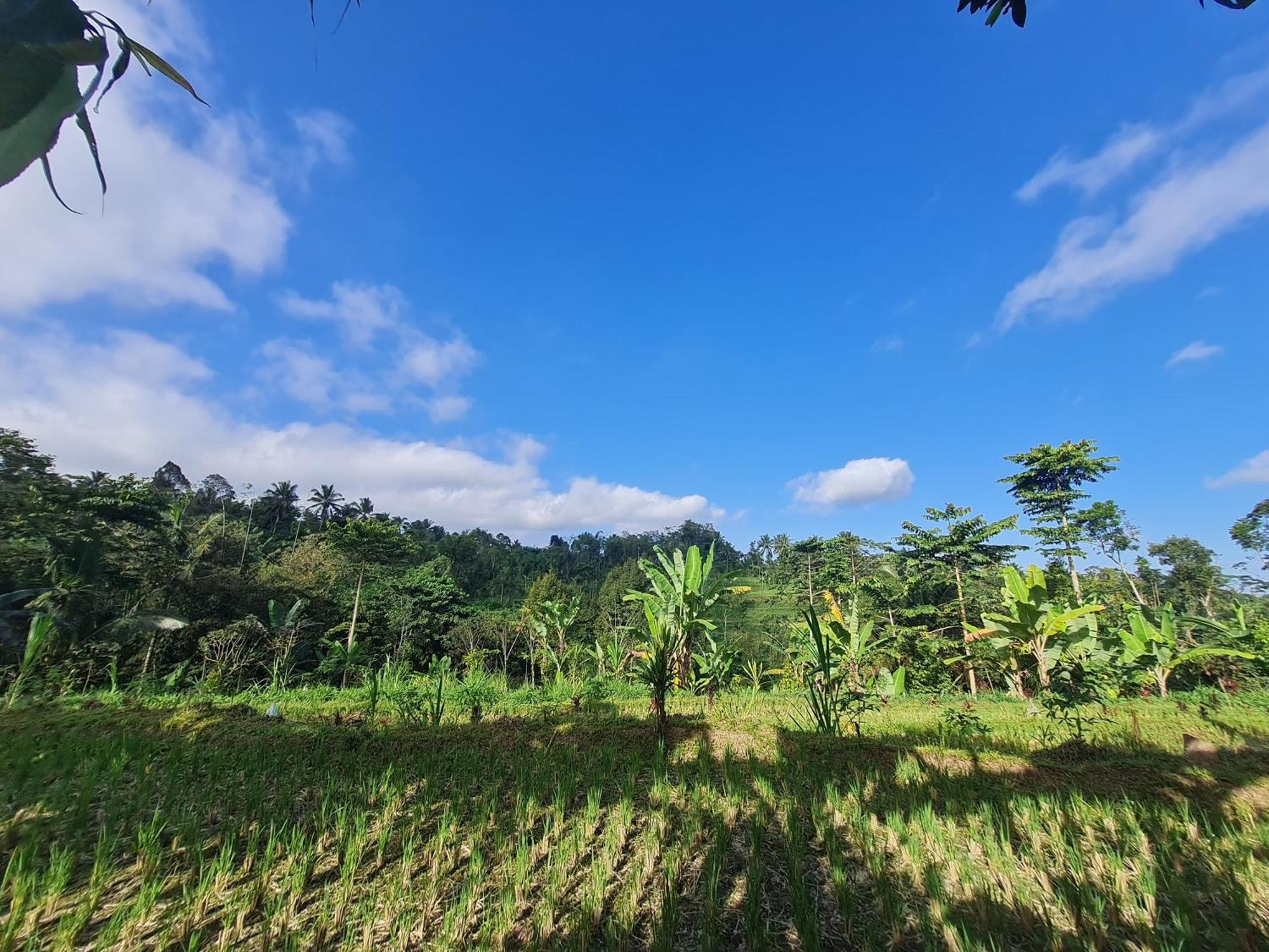 Tetebatu Valley Bungalows Bagian luar foto